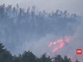 VIDEO: Kebakaran Gunung Lawu Diduga dari Api Unggun