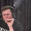 Elon Musk Isap Ganja Depan Publik, Saham Tesla Rontok