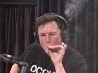 Bikin Harga Bitcoin Cs Hancur, Elon Musk Jadi Sasaran Hacker