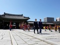 Jokowi Minta Resep 'Sulap' Ciliwung Seperti Sungai di Seoul