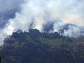 Penanganan Kebakaran Hutan di Sumsel Telan Rp1 Triliun