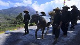 Warga membawa kerbau usia 1.5 tahun saat Kirab Kerbau Suro Merbabu Merapi di Selo, Boyolali, Jawa Tengah, Senin (10/9). Kirab tersebut sebagai bentuk rasa syukur masyarakat lereng Gunung Merbabu dan Gunung Merapi kepada Tuhan YME. (Antara/Aloysius Jarot Nugroho)