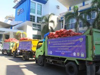 Bea Cukai Hibahkan Bawang Merah Selundupan Asal Malaysia