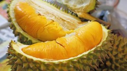 Harga Durian Musang King Terendah dalam 4 Tahun, Hanya Rp 114 Ribu/Kg