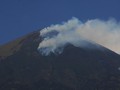 Lahan Hutan Gunung Guntur Garut Terbakar