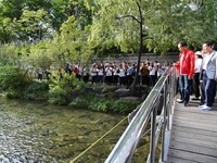 Ini Sungai di Korea yang Mau Ditiru Jokowi-Ridwan Kamil di RI