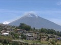VIDEO: Kebakaran Ancam Seismograf di Gunung Sindoro