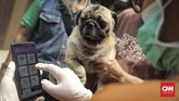 Dinas Ketahanan Pangan, Kelautan, dan Pertanian (KPKP) DKI Jakarta membagikan 500 microchip secara gratis kepada warga, di mana setiap wilayah mendapatkan 100 microchip. (CNN Indonesia/ Hesti Rika)