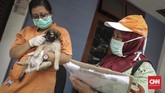 Petugas KPKP DKI Jakarta mendata anjing yang telah dipasangi microchip. (CNN Indonesia/ Hesti Rika)
