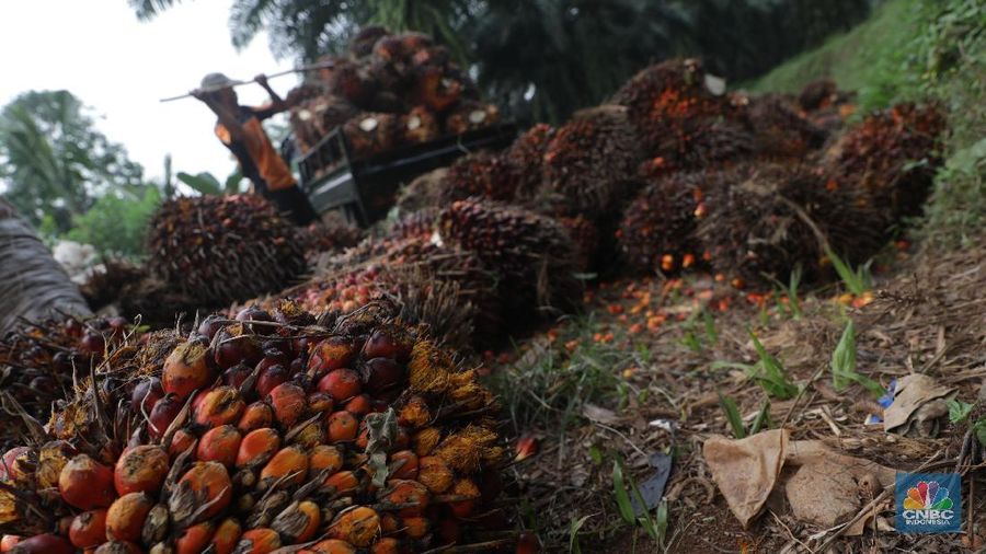 Harga CPO kontrak Desember bergerak menguat 1,53% ke level MYR 2.193/ton pada perdagangan hari ini, hingga penutupan perdagangan sesi 1.