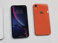 iPhone XR Terbaru Disebut Punya Antena LTE Sekelas XS Max