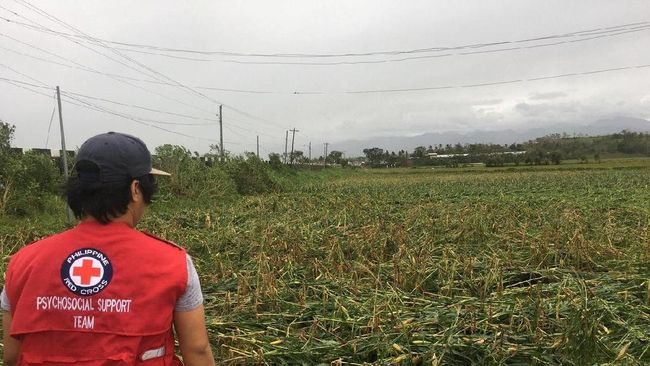 Topan Mangkhut, Petani Filipina Pertaruhkan Nyawa Jaga Ladang