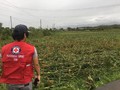 Topan Mangkhut, Petani Filipina Pertaruhkan Nyawa Jaga Ladang