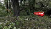 Dedaunan, ranting, dan benda-benda lainnya berserakan dan menutupi suatu mobil mewah di kota Wilmington, Carolina Utara. (REUTERS/Jonathan Drake)