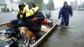 Para relawan dari Carolina Utara membantu menyelamatkan penduduk serta hewan peliharaan mereka untuk mengungsi ketika terjadinya banjir akibat Badai Florence. (Chip Somodevilla/Getty Images/AFP)