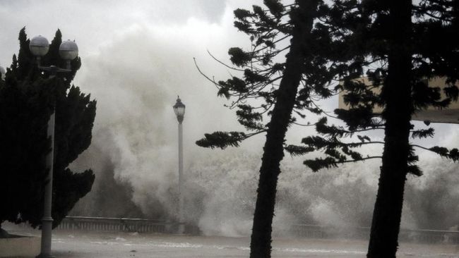 Topan Mangkhut dan Batalnya Diri Jadi Bruce Willis