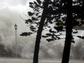 Topan Mangkhut dan Batalnya Diri Jadi Bruce Willis