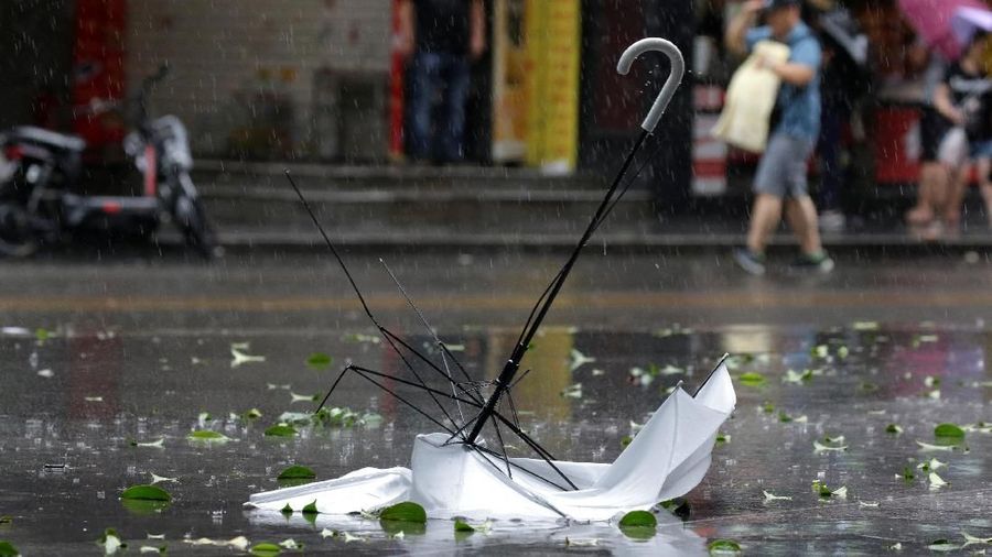 Badai Mangkhut dianggap sebagai yang terkuat di wilayah ini, kekuatan angin kencang lebih dari 200 kilometer per jam (125 mph)