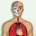 10 Tanda Awal Penyakit Lupus yang Sering Diabaikan
