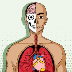 10 Tanda Awal Penyakit Lupus yang Sering Diabaikan