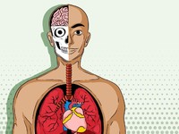 Penyakit Lupus: Apa Itu, Penyebab & Cara Mengobati