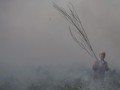 Angin Kencang, Kebakaran Hutan dan Lahan di Riau Meluas