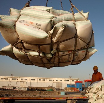 Perang Dagang, China Kurangi Ransum Kedelai untuk Babi