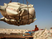 Perang Dagang, China Kurangi Ransum Kedelai untuk Babi