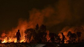 Hutan Seluas 8 Hektare di Sukabumi Terbakar