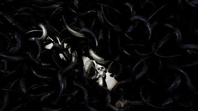 img-title