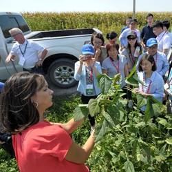 Perang Dagang, Trump Akan Kucurkan Rp 216,8 T untuk Petani AS