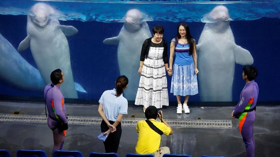 Menurut Asosiasi Cetacean (Mamalia air laut) mengatakan Sejak tahun 2014, 872 mamalia air telah dimasukkan ke dalam penangkaran di China.