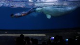 Bahkan jika berkunjung ke tempat para nelayan berkumpul, maka permintaan ikan jenis apapun bisa dipenuhi asalkan bayarnya sesuai
