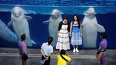 Padahal sebagian besar penduduk dunia sudah sependapat jika sirkus lumba-lumba dan ikan paus, adalah sebuah kejahatan terhadap hak hidup hewan berkedok hiburan.
