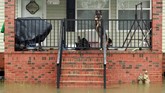 Tak berdaya, mereka hanya dapat menanti relawan yang terjun ke tengah banjir untuk menyelamatkan para hewan. (Reuters/Jason Miczek)