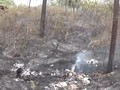 VIDEO: Penyekatan Hutan Lindung Kareumbi yang Terbakar