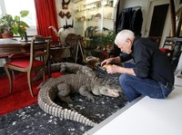 Mengerikan, Pria Ini Tinggal Serumah dengan 400 Reptil