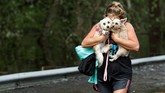 Badai Florence yang menghantam Amerika Serikat tak hanya menakutkan bagi manusia, tapi juga hewan peliharaan. (Reuters/Jonathan Drake)