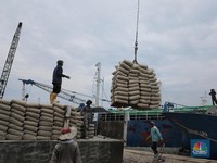 Rumor Divestasi Merebak Lagi, Saham Holcim Indonesia Melesat