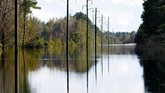 Badai Florence telah menewaskan sedikitnya 36 orang, termasuk 27 orang di North Carolina, 8 orang di South Carolina, dan satu di Virginia. (Reuters/Jonathan Drake)