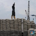 Penjualan Semen Kuartal I-2019 Tumbuh, Domestik Kok Lesu?