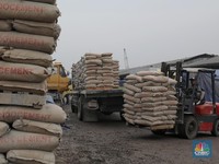 Dikabarkan Mau Akuisisi Holcim, Saham SMGR Malah Turun 2,2%