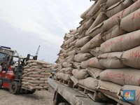 Total Laba Emiten Semen Turun Rp 3,31 T, Apa Penyebabnya?