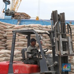 Masuk UMA, Saham SMCB Masih Mampu Menguat 19,11%