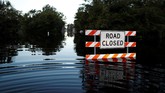 North Carolina dikenal sebagai daerah peternakan babi. Banjir besar ini telah menyapu 21 tempat pengolahan limbah kotoran babi dan meningkatkan risiko pencemaran air bersih dan penyebaran bakteri salmonella di kawasan itu. (Reuters/Randall Hill)