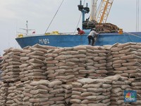 Juragan Semen, Kulkas-Mebel Siap-Siap, Program 3 Juta Rumah Bawa Cuan