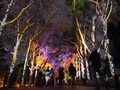 Melengkapi Vakansi di Austaralia Barat dengan Festival