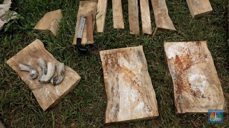 Hampir di setiap rumah penduduk terdapat bengkel pembuatan golok yang kemampuan pandai besi itu diturunkan dari pendahulunya.