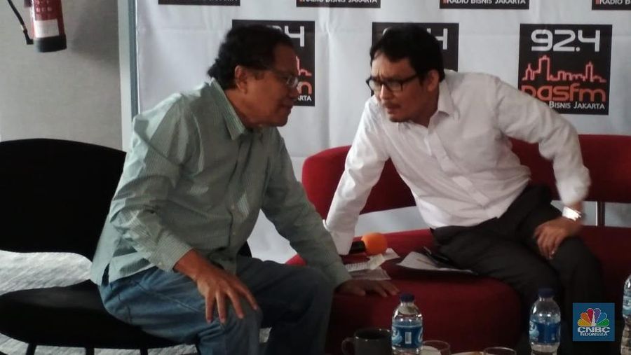 Rizal menyatakan langkah pemerintah yang menaikkan pajak impor untuk 1.147 barang impor tidak signifikan.