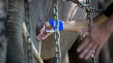 Pemerintah Provinsi Dak Lak pun membuat mekanisme koordinasi antara badan-badan usaha dan warga, untuk melestarikan lingkungan hidup bagi kawanan gajah liar. (AFP PHOTO / Thanh Nguyen dan Bao Uyen)